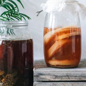 Kombucha